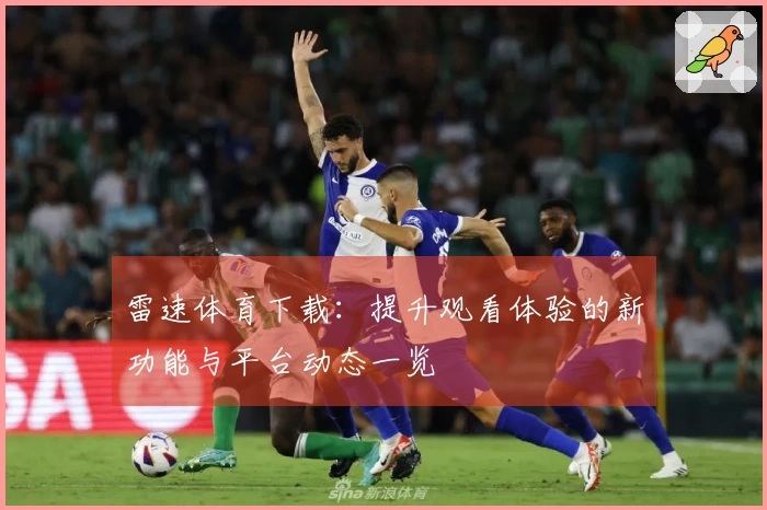 雷速体育下载：提升观看体验的新功能与平台动态一览